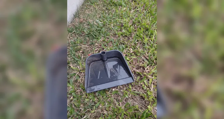 Confira os registros dos alunos em casa do combate ao mosquito transmissor.