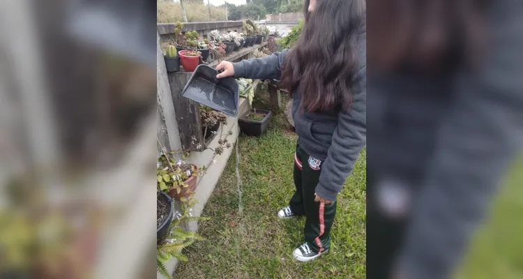 Confira os registros dos alunos em casa do combate ao mosquito transmissor.