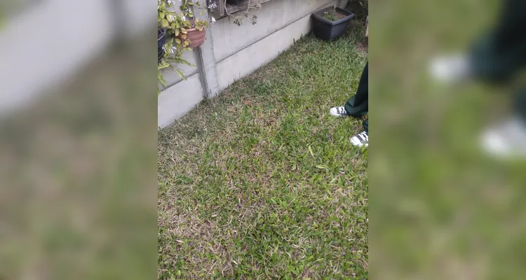 Confira os registros dos alunos em casa do combate ao mosquito transmissor.