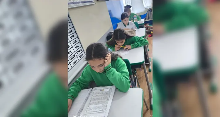Veja a série de registros do amplo trabalho realizado pelos estudantes.