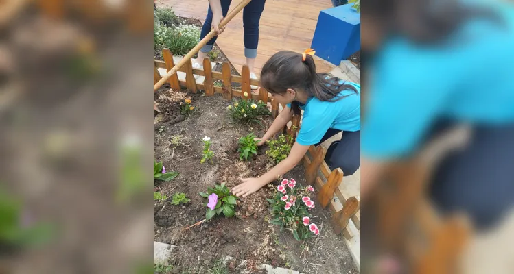 Confira a série de registros do amplo trabalho sustentável realizado pelos educandos.