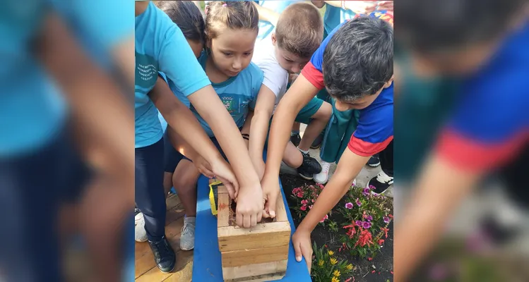 Confira a série de registros do amplo trabalho sustentável realizado pelos educandos.