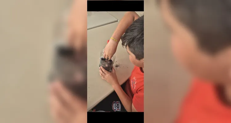 Trabalhos engajaram educandos em uma ampla produção.