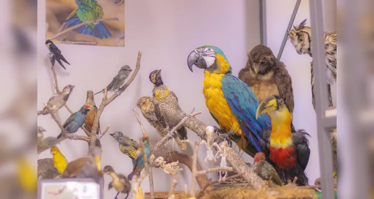 Laboratório da UEPG abriga mais de mil animais conservados
