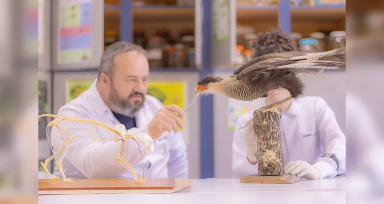 Laboratório da UEPG abriga mais de mil animais conservados