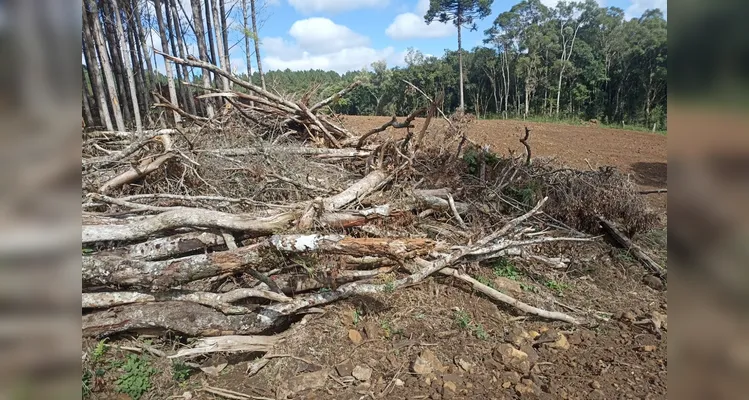 As ações ocorreram em três cidades diferentes