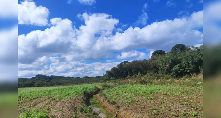 Polícia Militar Ambiental desmonta três áreas de desmatamento no Paraná