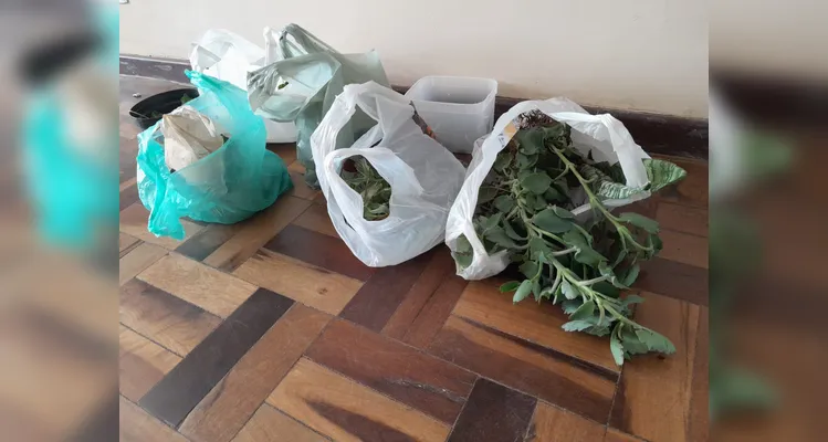 Tendo solidificado as bases teóricas sobre o assunto, os alunos realizaram inúmeras ações práticas como debates e a preparação de mudas que foram compartilhadas com a comunidade escolar.
