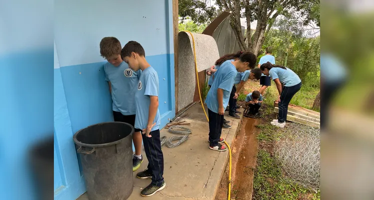 Os alunos também vistoriaram os arredores da escola e de casas vizinhas, visando eliminar focos da doença.