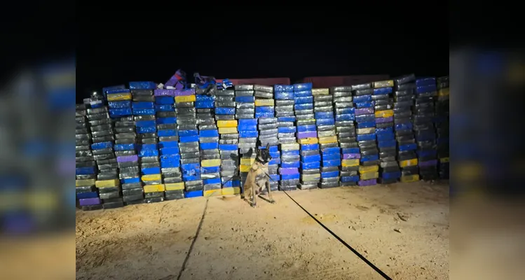 Policiais apreendem 4 mil kg de maconha em caminhão na PR-151