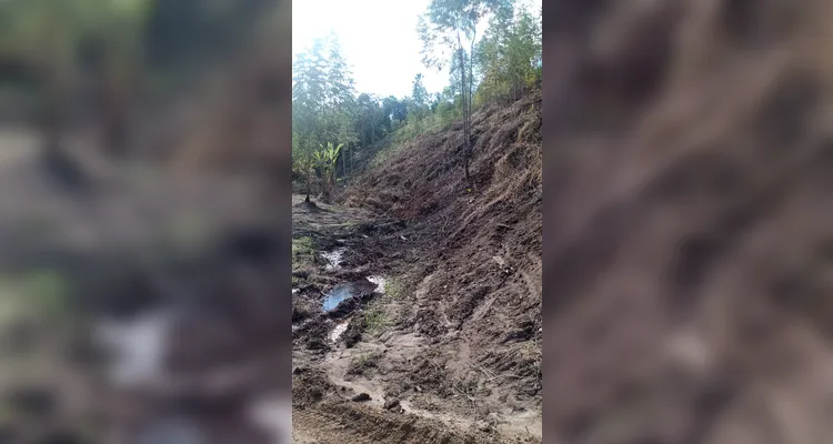Corte aconteceu nos arredores de um curso d’água e nas encostas de um terreno de aclive superior a 45º