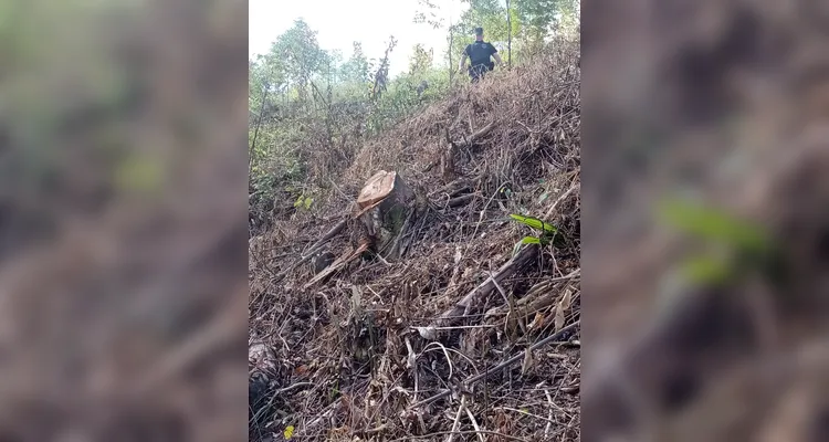 Corte aconteceu nos arredores de um curso d’água e nas encostas de um terreno de aclive superior a 45º