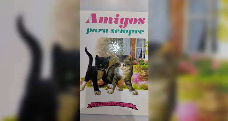 A proposta possibilitou que os alunos escolhessem livros na biblioteca e recriassem a sua maneira a capa de cada um deles.