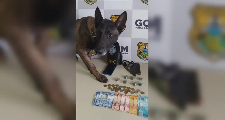 Homem esconde drogas nas partes íntimas e acaba detido por 'Bolt' em PG