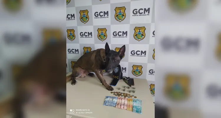 Homem esconde drogas nas partes íntimas e acaba detido por 'Bolt' em PG