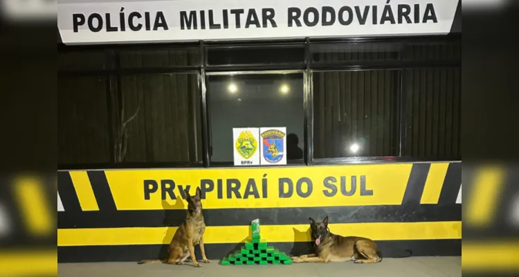 Cão encontra 22 kg de maconha em mala e mulher é presa em Piraí do Sul