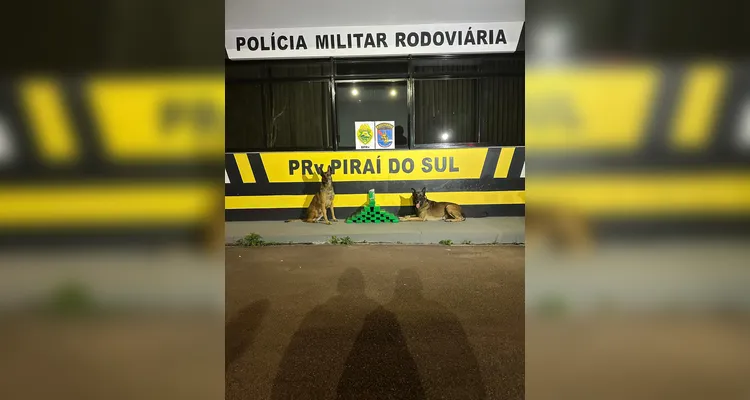 Cão encontra 22 kg de maconha em mala e mulher é presa em Piraí do Sul