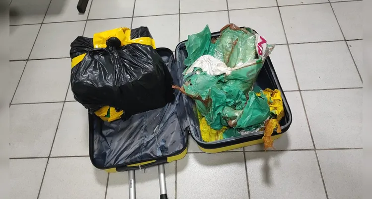 Cão encontra 22 kg de maconha em mala e mulher é presa em Piraí do Sul