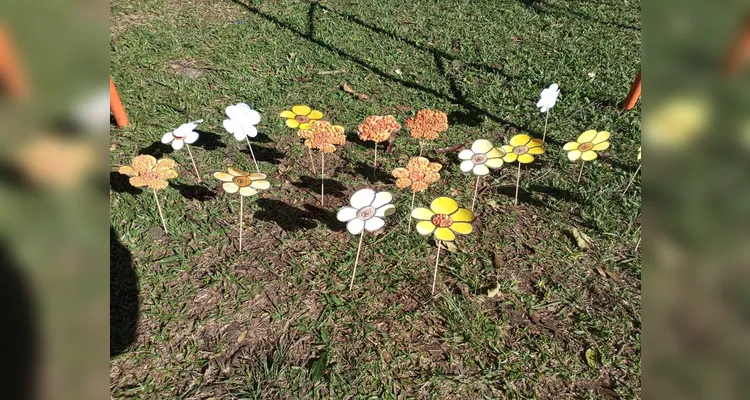 Como ações, a turma confeccionou materiais de conscientização, gravou um vídeo com o resultado dos trabalhos e criou um jardim simbólico.