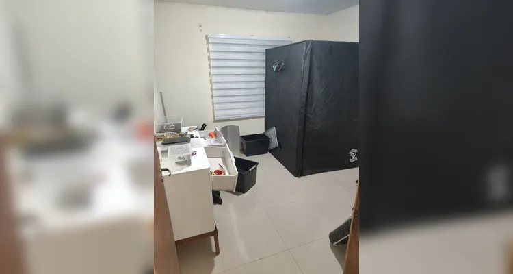 Polícia Militar apreende 1800 quilos de maconha em São José dos Pinhais