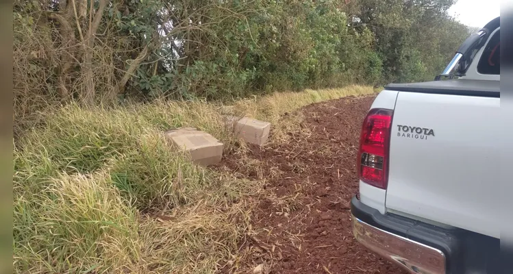 PRF apreende mais de 9 mil anabolizantes e medicamentos em PG