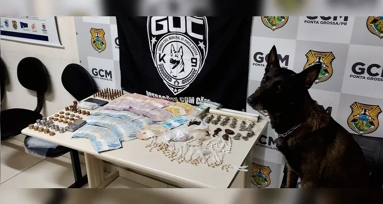 Bolt encontrou centenas de pacotes de maconha