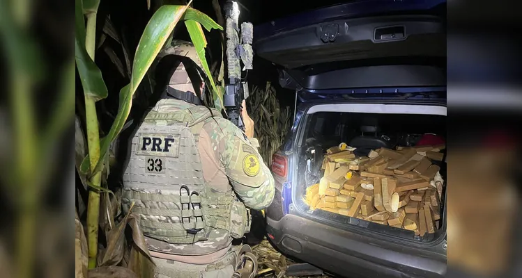 A apreensão ocorreu em Cascavel