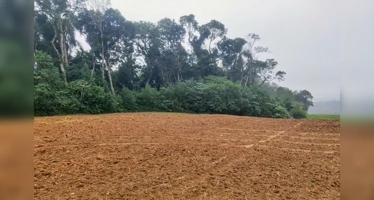 Polícia Ambiental desmonta local de desmatamento ilegal em Antônio Olinto