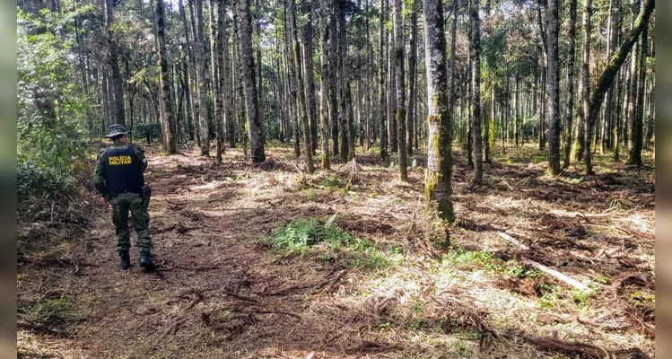 O local fica em uma propriedade rural no Povoado Imbituvinha