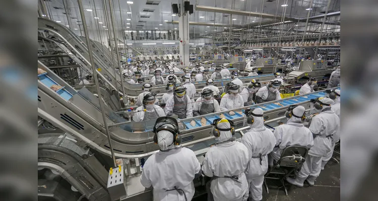 Mercado de empregos aquecido: Paraná tem 23,1 mil vagas abertas nessa semana