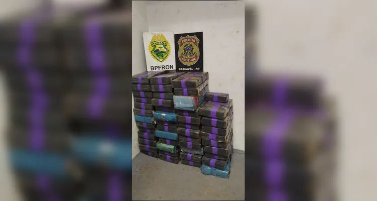 Veículo é apreendido com quase meia tonelada de entorpecentes no Paraná
