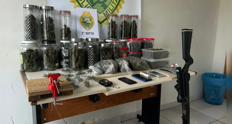 Polícia Militar descobre plantação de maconha em chácara de PG