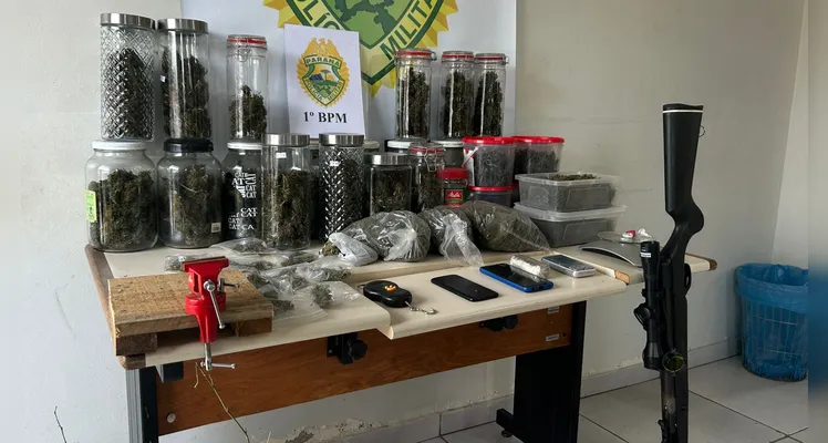 Polícia Militar descobre plantação de maconha em chácara de PG