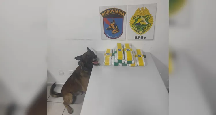 Homem é preso com R$ 70 mil em drogas nos Campos Gerais