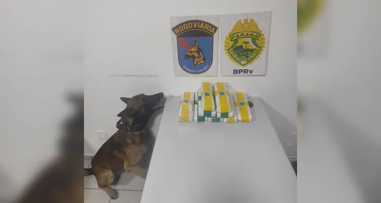 Homem é preso com R$ 70 mil em drogas nos Campos Gerais