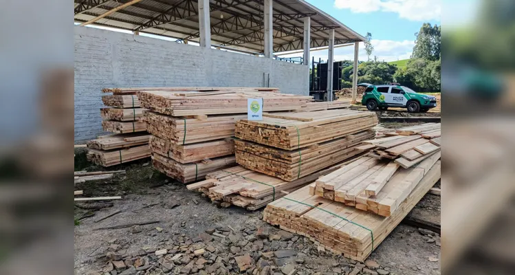 Serraria é flagrada com araucária ilegal em Imbituva