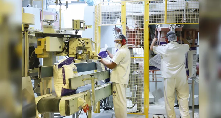 Confira as mais de 22 mil vagas no estado
