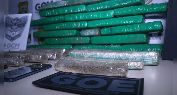 Guarda localiza cerca de 20 kg de maconha embaixo da cama de homem em PG