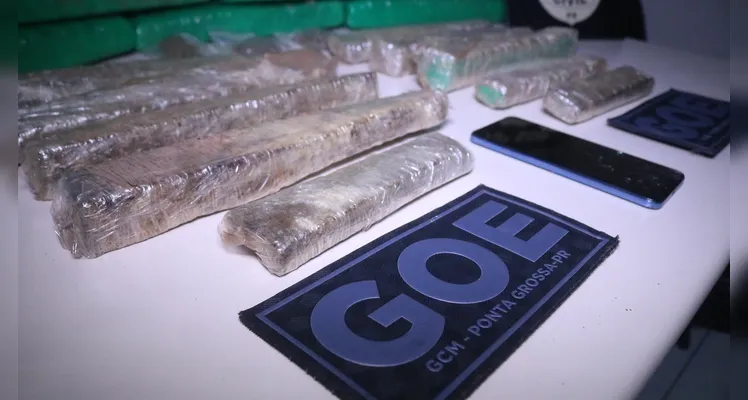 Guarda localiza cerca de 20 kg de maconha embaixo da cama de homem em PG