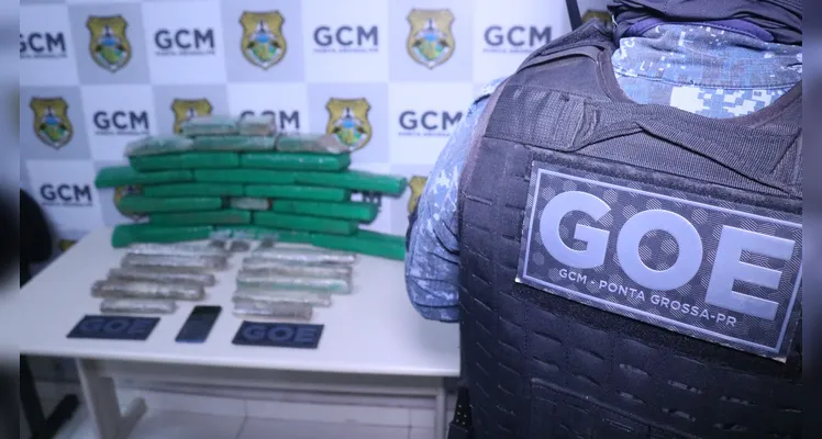 Guarda localiza cerca de 20 kg de maconha embaixo da cama de homem em PG
