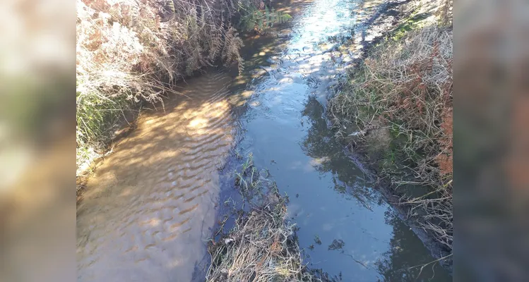 Dono de leiteria é autuado por crime ambiental na região
