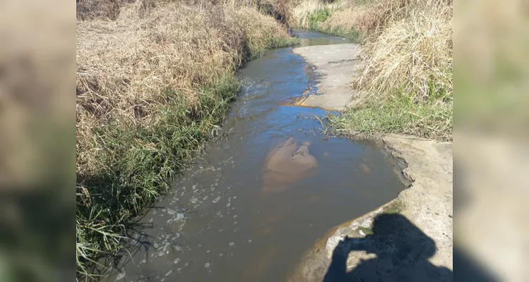 Dono de leiteria é autuado por crime ambiental na região