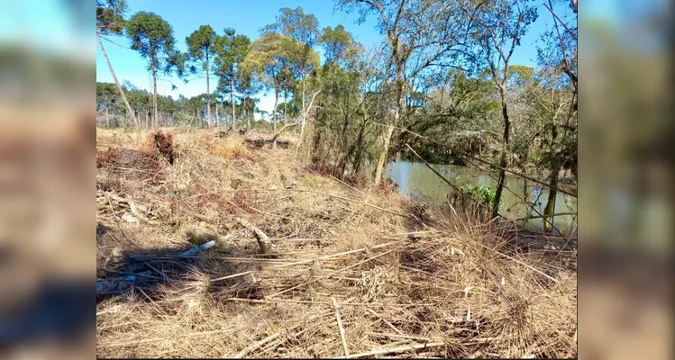 Homem é multado em R$ 65 mil após destruir área de preservação em Rio Azul
