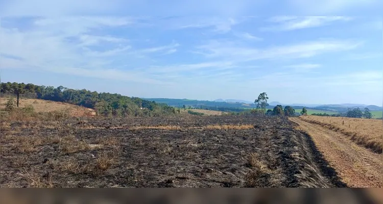 Queimada ilegal danifica mais de 3,65 hectares de vegetação em Curiúva