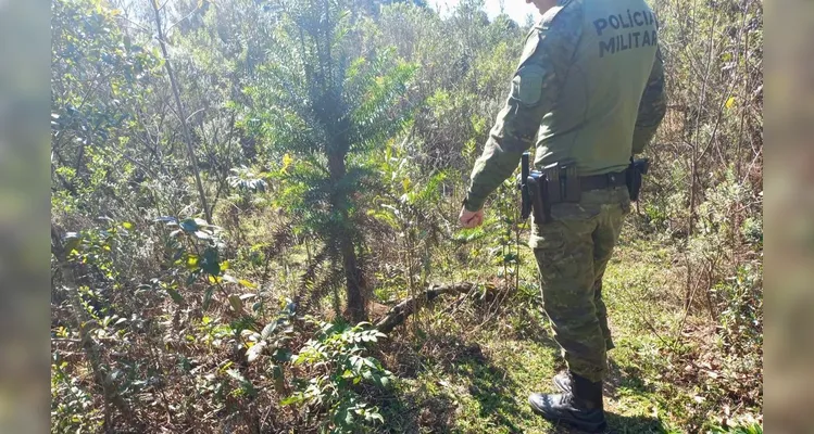 PM Ambiental durante ação
