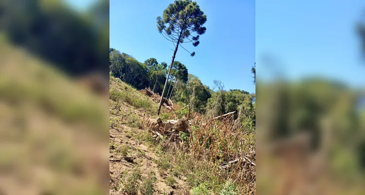 PM Ambiental multa em R$ 62 mil dois homens por crimes ambientais em PG e Imbituva