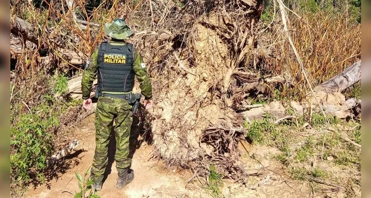 PM ambiental durante ação contra crimes ambientais