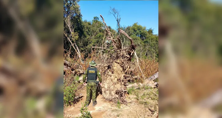 PM Ambiental multa em R$ 62 mil dois homens por crimes ambientais em PG e Imbituva