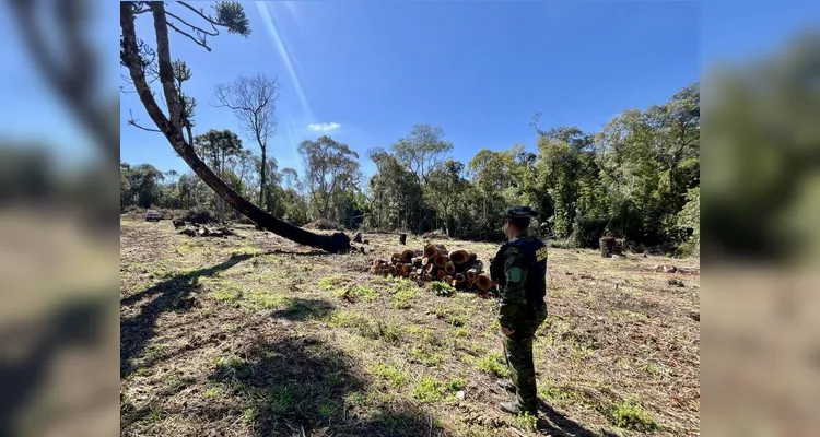 PM Ambiental multa em R$ 62 mil dois homens por crimes ambientais em PG e Imbituva