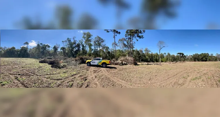 PM Ambiental multa em R$ 62 mil dois homens por crimes ambientais em PG e Imbituva